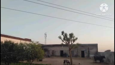 नांगल चौधरी: गांव दोस्तपुर में बिजली विभाग का एस्टीमेट लोगों की जान पर भारी, मकान के ऊपर से गुजर रही है हाई टेंशन लाइन