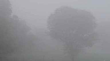 लालसोट: लालसोट क्षेत्र में घने कोहरे से जनजीवन प्रभावित, सर्द हवाओं से बढ़ी सर्दी ने छुडाई धूजणी, पौधों पर ओस की बूंदें जमीं