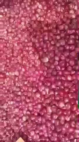 Shamgarh mandi mein pyaaz ka daam Kam mile se kisaan nara