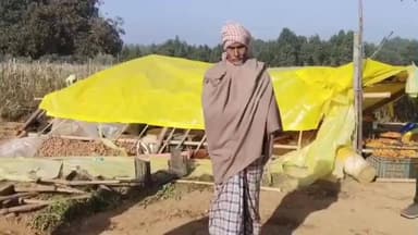 दारू: चुटियारो में गजराज का कहर, किसान को कुचलकर उतारा मौत के घाट, पत्नी की हालत नाज़ुक