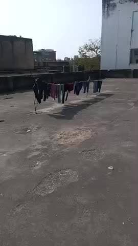 जयपुर नजर ऑल पब्लिक धन्यवाद लाइव@##लावारिस होंगे लो म