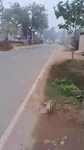 एटा-अलीगंज में भीषण ठंड से जनजीवन बेहाल, इंसान और जानवर दोनों परेशान!