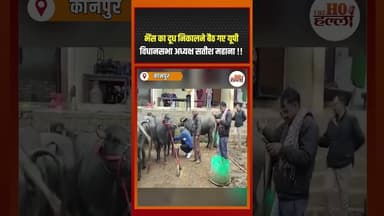 विधानसभा अध्यक्ष सतीश महाना ने निकाला भैंस का दूध, समर्थक दिलाते रहे जोश