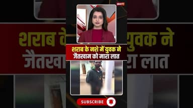 जैतखाम को लात मारना पड़ा महंगा #cgnews #satnam #jaitkham #sarangarh #bilaigarh