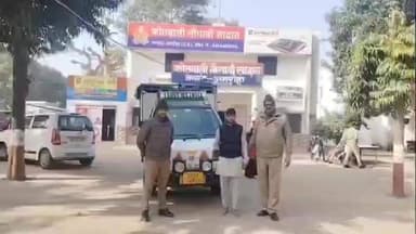 नौगावां सादात: नौगांवा थाना पुलिस ने चेकिंग के दौरान भैंस व छोटा हाथी के साथ शातिर चोर को किया गिरफ्तार