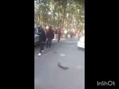 वाड्रफनगर: रजखेता के पास कहर बनकर टूटी रफ्तार कार और बाइक की भीषण भिड़ंत, मच गया हड़कंप