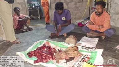 అశ్వారావుపేట: కొండ గొర్రె మాంసాన్ని విక్రయిస్తున్న నలుగురిని అరెస్టు చేసి రిమాండ్ కు తరలించినట్లు ములకలపల్లి అడవిశాఖ అధికారులు వెల్లడి