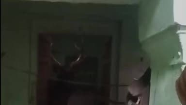 चकरनगर: मिटाहठी गाँव में एक किसान के घर के अंदर कमरे में घुसा बारहसिंघा, मच गया हड़कंप