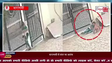वाराणसी में बंदर का आतंक, मासूम पर हमला, नुकीले दांतों से बदन किया जख्मी, CCTV में कैद हुई घटना
#Varanasi #MonkeyAttack