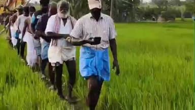 கண்டச்சிபுரம்: தணிக்கலாம்பட்டு கிராமத்தில் இறந்தவரை சடலத்தை புதைப்பதற்காக சுடுகாடு பாதை இல்லாததால் விவசாய நிலங்களில் இறங்கி இறந்தவரை சடலத்தை சுமந்து செல்லும் கிராம