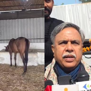 #BrijBhushanSharanSingh को घोड़े पर #gift किया जा रहा घोड़ा, जन्मदिन से पहले डेड करोड़ तो जन्मदिन वाले दिन ढाई करोड रुपए का...