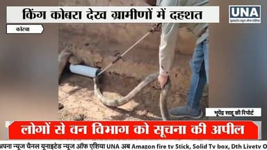 Korba News : कोरबा के तिलईदाड़ गांव में 12 फीट किंग कोबरा का रेस्क्यू
#KingCobra
#CobraRescue
#KorbaNews
#WildlifeRescu...