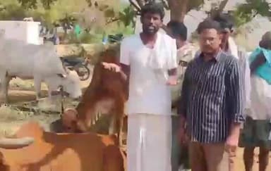 అలంపూర్: గోవులను సంరక్షించవల్సిన బాధ్యత ప్రతి ఒక్కరిది - బీజేపీ పట్టణ అధ్యక్షులు భగత్ రెడ్డి