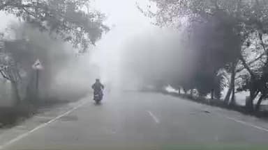 ज्ञानपुर: जनपद भदोही में दिनभर घना कोहरा छाया रहा