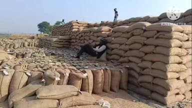 उचेहरा: नागौद: उठाव नहीं होने से उंचेहरा व नागौद ब्लॉक के 5000 किसानों का काम रुका, किसान दर-दर भटकने को मजबूर