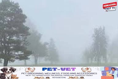 कोहरे की मार से हरी सब्जी की फसल प्रभावित, कपड़े से ढक रहे किसान
घना कोहरा बना किसानों की चिंता, हरी सब्जियों की फसल को ...