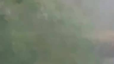 बाजपुर: बाजपुर में झारखंडी चेकपोस्ट के पास विशाल हाथी दिखा, इलाके में दहशत