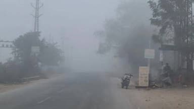 डूंगला: बड़ी सादड़ी डूंगला क्षेत्र में घने कोहरे के कारण जनजीवन प्रभावित