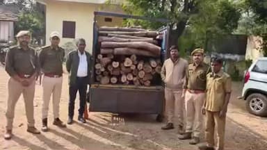 धरियावद: मूंगाणा में सागवान की गीली लकड़ी परिवहन करते पिकअप को किया ज़ब्त, प्रकरण दर्ज