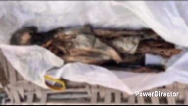 नैनपुर: चौकी टाटरी के सुरपाठी जंगल में मिला नर कंकाल, इलाके में सनसनी