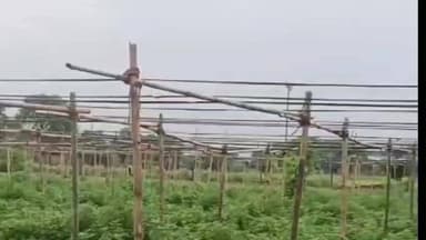 सिरसागंज: सिरसागंज के नगला राधे निवासी लोकेश कुमार ने मटकी विधि से बदली खेती की सूरत, उगाई ऑर्गेनिक लौकी