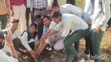 हरसूद: एनएसयूआई ने 'एक पेड़ भविष्य के नाम' से अभियान की शुरुआत की