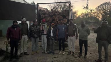 सिंगोली: सागौन की तस्करी पर वन विभाग की बड़ी कार्रवाई, ट्रैक्टर-ट्रॉली जब्त, दो आरोपी गिरफ्तार