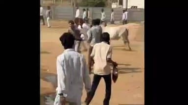 કવાંટ: નગરમાં ભાજપની વિશાળ રેલીમાં અચાનક ગાય વીફરતા અફરાતફરી સર્જાઈ.