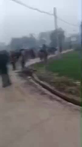 करछना: खाई गांव में किसी बात को लेकर दो पक्षों में जमकर हुई मारपीट, वीडियो सोशल मीडिया पर हुआ वायरल