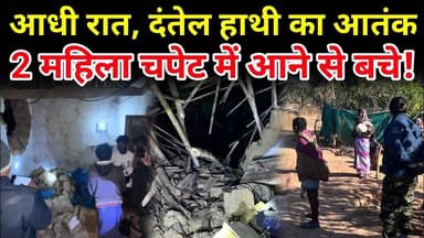 जशपुर में दंतैल हाथी का आतंक, दो दिनों में 8 घर तबाह, ग्रामीणों में दहशत #jashpursipahi #trending