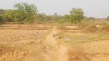 बहरागोड़ा: सड़क के अभाव में नाकदोहा गांव के गोप टोला के ग्रामीण पगडंडी पर चलने को मजबूर