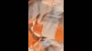 रामपुर मनिहारन: संतान की चाह में तंत्र क्रिया करने खेत गए युवक की सर्द रात में हुई मौत, परिजनों ने तांत्रिक पर लगाया हत्या का आरोप