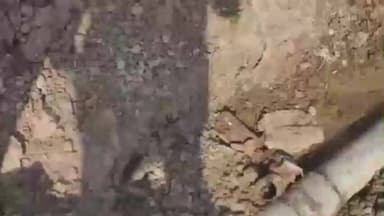 हंडिया: ग्रामीण क्षेत्र में पानी की टंकियों की सफाई की मांग, जिला प्रशासन को सौंपा पत्र