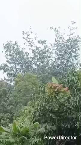 बछवारा: बछवारा प्रखंड में जारी है शीतलहर का प्रकोप