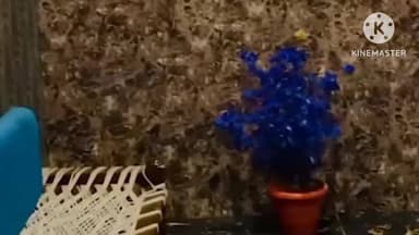 વેજલપુર: બોડકદેવમાં હાઈ-પ્રોફાઈલ દેહવ્યાપારનું રેકેટ ઝડપાયું