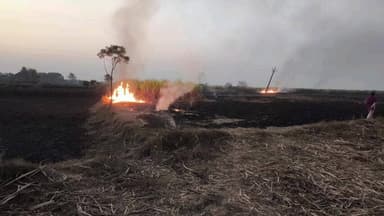 सहसपुर लोहारा: ग्राम बम्हनी में गन्ने की फसल में लगी भीषण आग, दमकल की टीम ने घंटों मशक्कत के बाद पाया काबू