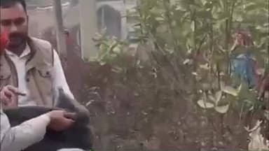 इकौना: परेवपुर में समाजसेवी देव प्रताप सिंह ने कड़ाके की ठंड में जरूरतमंदों को राहत के रूप में कंबल बांटे