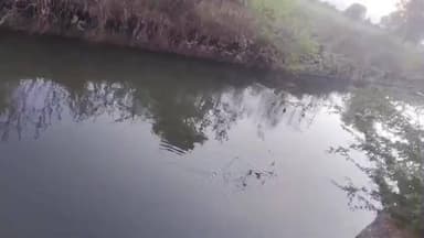 फूलिया कलां: ग्रामीणों की मांग पर सिंचाई विभाग ने नहर का पानी 5 दिन बढ़ाया, करीब 800 बीघा खेतों में हुई सिंचाई