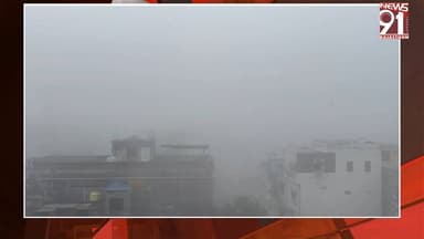 कोहरे और सर्द हवाओं से हुआ जन-जीवन प्रभावित, ट्रेनों की रफ्तार पर भी लगा ब्रेक
#NewsUpdate #newsfeed #News #rajasthan #R...