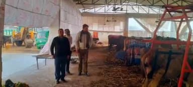 जानसठ: मीरापुर कस्बे में गौशालाओं का पशु चिकित्सा अधिकारी ने कड़ाके की ठंड को देखते हुए किया निरीक्षण, दिए निर्देश