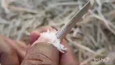 ଜି ଉଦୟଗିରି: ଜି ଉଦୟଗିରି ରେ ତୁଷାର ପାତ ହୋଇଅଛି