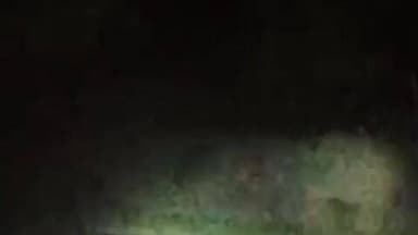 कुकड़ू: खरकोचा में हाथियों ने किसानों के खेत में लगी सब्जी की फसल को खाया