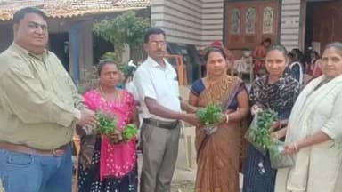 વાંસદા: કિચન ગાર્ડનના છોડનું પીપલખેડ ખાતે વિતરણ કરવામાં આવ્યું