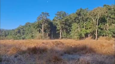 ଯଶିପୁର: ଶିମିଳିପାଳ ଅଭୟାରଣ୍ୟ ମଧ୍ୟରେ ପ୍ରବଳ ଥଣ୍ଡା; ସର୍ବନିମ୍ନ ତାପମାତ୍ରା -୧ ଡିଗ୍ରୀ ସେଲସିୟସ ରେକର୍ଡ ନେଇ RCCF ଦେଲେ ସୂଚନା