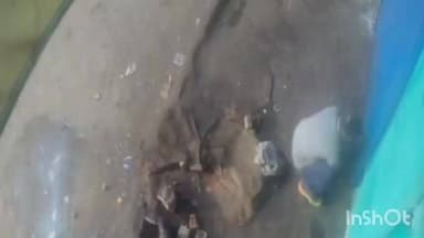 चरखी दादरी: शहर की पुरानी सब्जी मंडी में दुकान से चोरी, CCTV में कैद हुई ताला तोड़ने से लेकर गल्ले से रुपए चुराने तक की वारदात