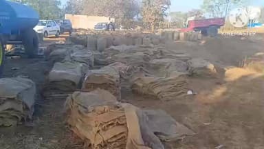 घंसौर: परिवहन और वारदाने न मिलने से खुले आसमान के नीचे पड़ी धान की फसल