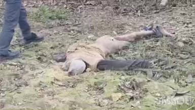 जलालपुर: अहिरौली थाना क्षेत्र के प्रतापपुर चमोरखा गांव में लकड़ी काटने गए बुजुर्ग को नीलगाय ने उतारा मौत के घाट