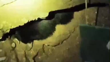 मोताळा: विहिरीत पडलेल्या अस्वलाला वनविभागाने केले रेस्क्यू...