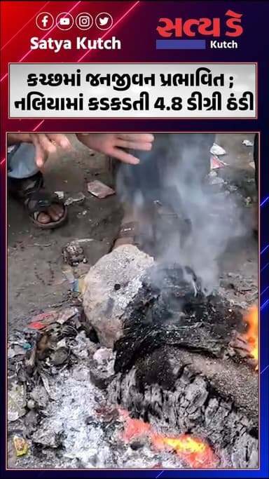 કચ્છમાં જનજીવન પ્રભાવિત ; નલિયામાં કડકડતી 4.8 ડીગ્રી ઠંડી
#Naliya #ColdWave #LowestTemperature #Kutch #WinterUpdate