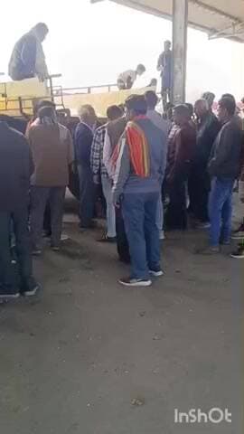 छबड़ा: छबड़ा कृषि उपज मंडी में मक्का, गेहूं, सोयाबीन, सरसों, चना, धनिया जिंस की हुई नीलामी, मंडी प्रशासन ने लगाई जिंस की बोली